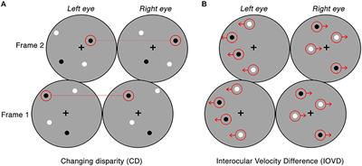 Decoding Neural Responses to Motion-in-Depth Using EEG